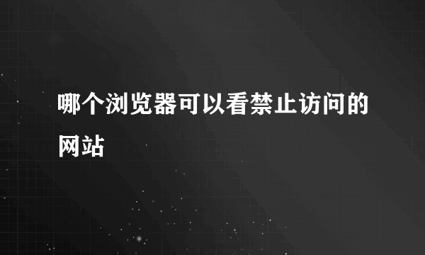 哪个浏览器可以看禁止访问的网站