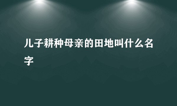 儿子耕种母亲的田地叫什么名字