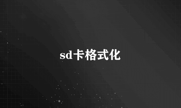 sd卡格式化