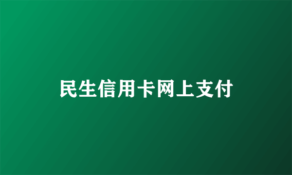 民生信用卡网上支付