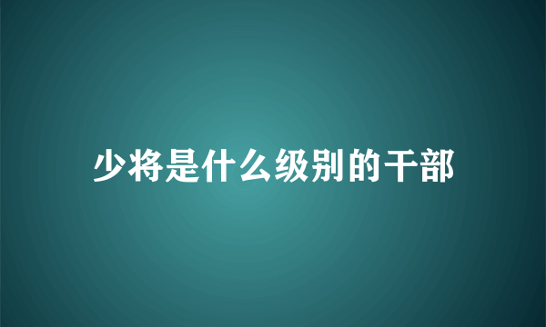 少将是什么级别的干部