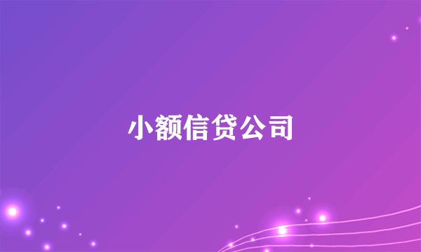 小额信贷公司