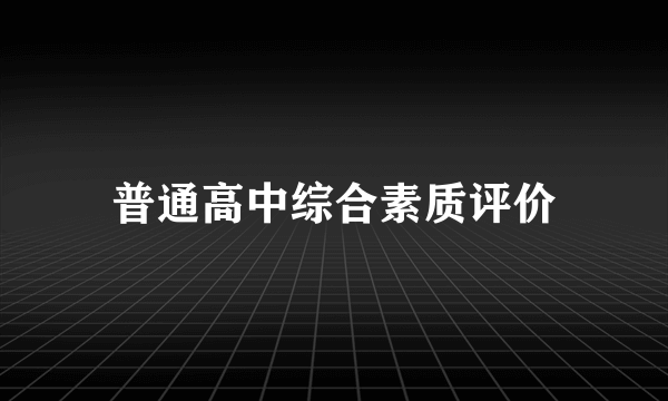 普通高中综合素质评价