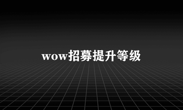 wow招募提升等级