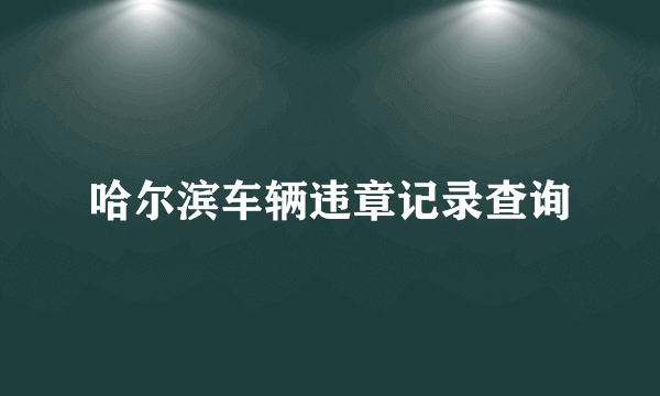 哈尔滨车辆违章记录查询