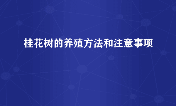 桂花树的养殖方法和注意事项