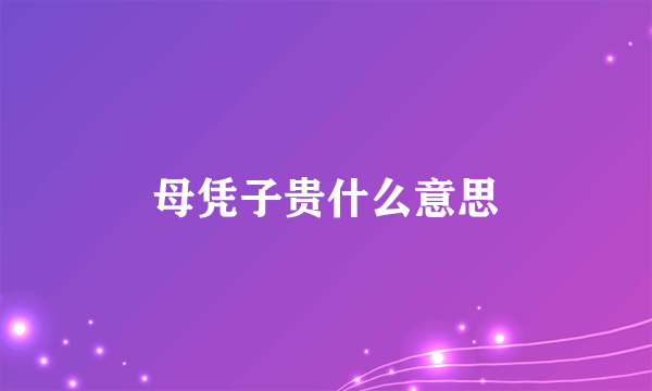 母凭子贵什么意思