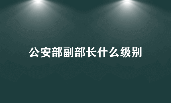 公安部副部长什么级别