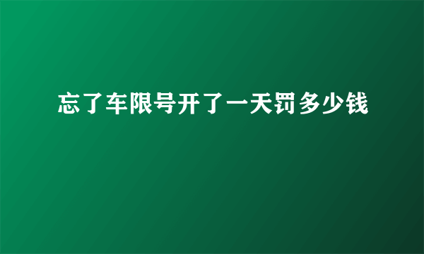 忘了车限号开了一天罚多少钱