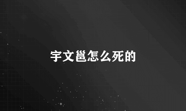 宇文邕怎么死的