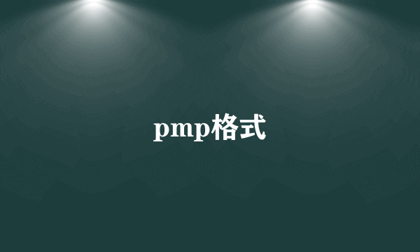 pmp格式