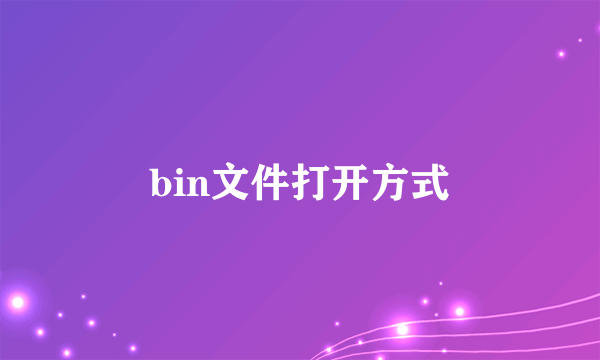 bin文件打开方式