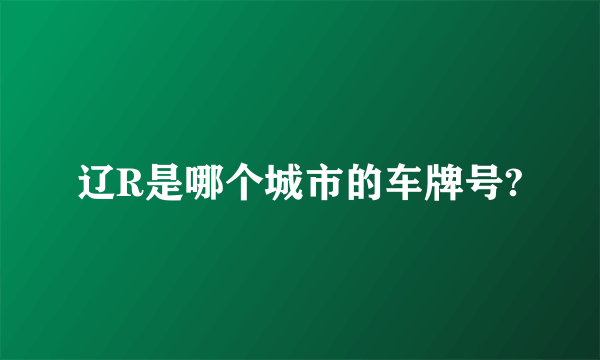 辽R是哪个城市的车牌号?