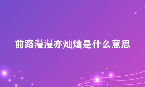 前路漫漫亦灿灿是什么意思