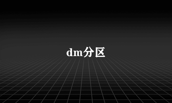 dm分区