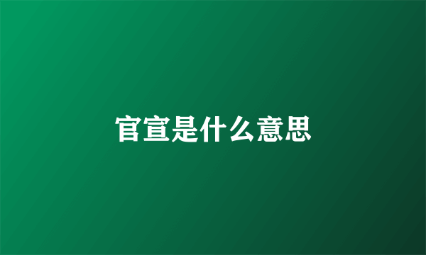 官宣是什么意思