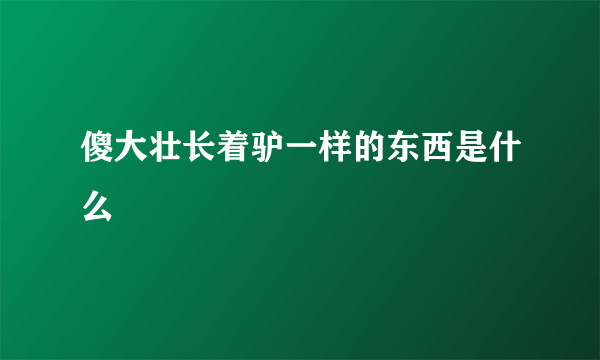 傻大壮长着驴一样的东西是什么