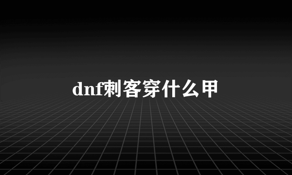 dnf刺客穿什么甲