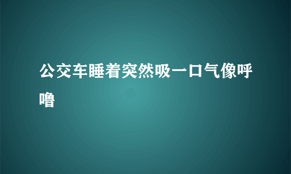 公交车睡着突然吸一口气像呼噜