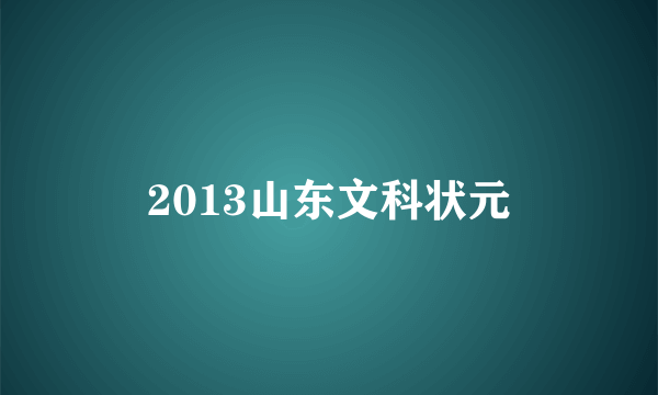 2013山东文科状元