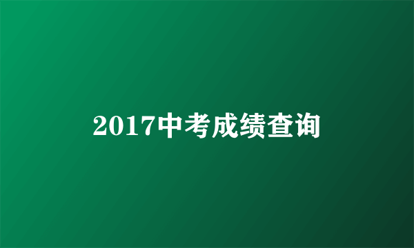 2017中考成绩查询