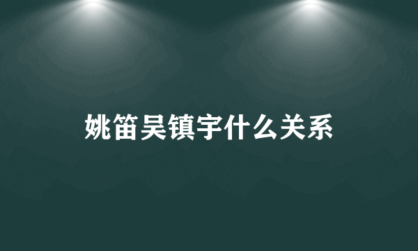 姚笛吴镇宇什么关系