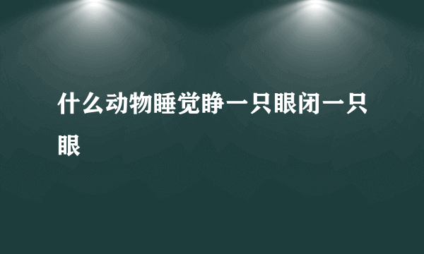 什么动物睡觉睁一只眼闭一只眼