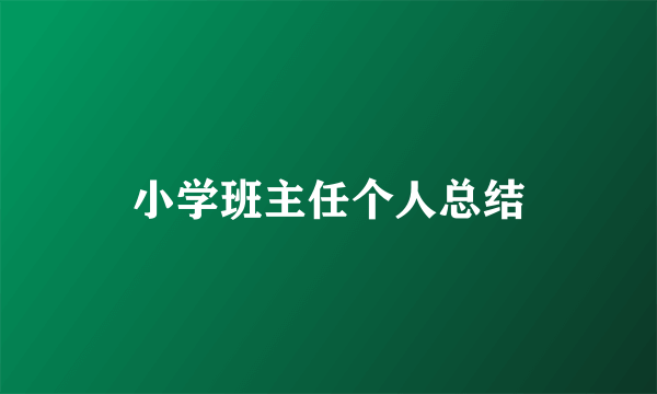 小学班主任个人总结