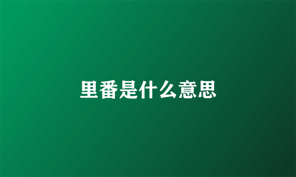 里番是什么意思