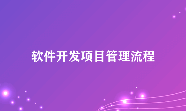 软件开发项目管理流程