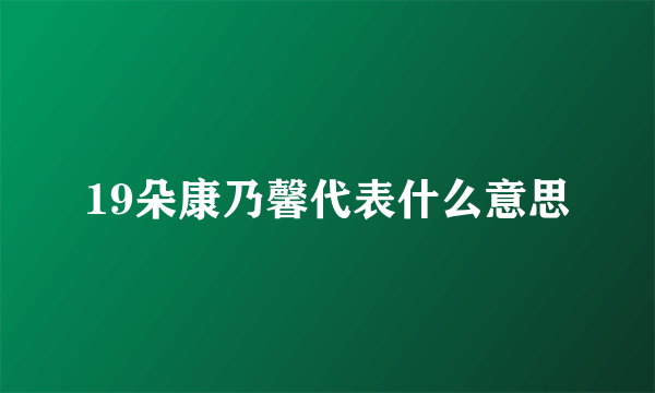 19朵康乃馨代表什么意思