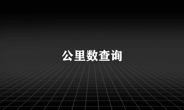 公里数查询