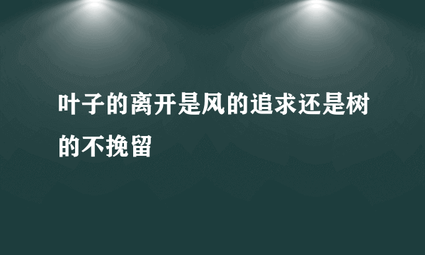 叶子的离开是风的追求还是树的不挽留