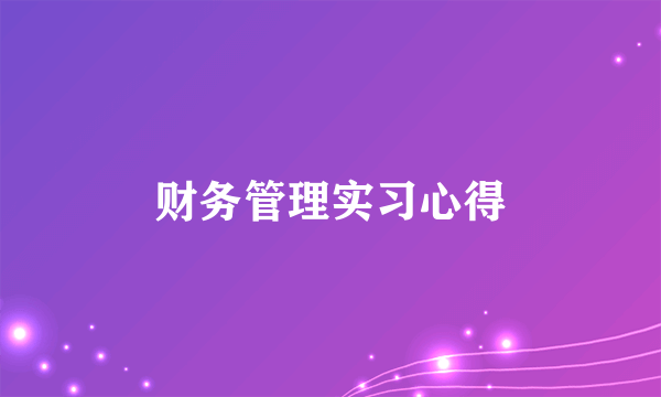 财务管理实习心得