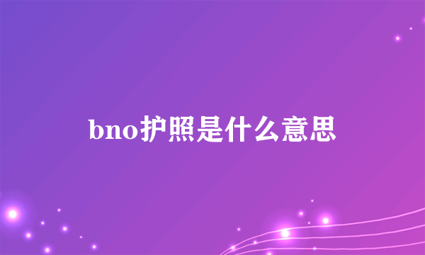 bno护照是什么意思