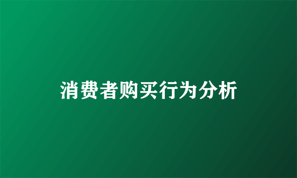 消费者购买行为分析