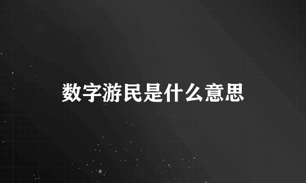 数字游民是什么意思