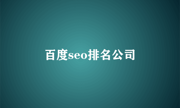 百度seo排名公司