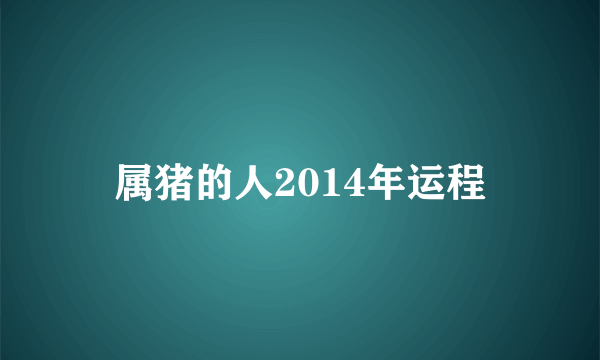 属猪的人2014年运程