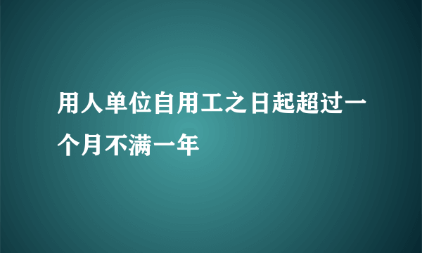 用人单位自用工之日起超过一个月不满一年