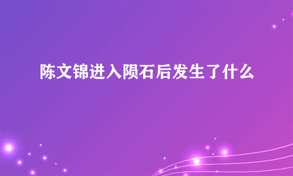 陈文锦进入陨石后发生了什么