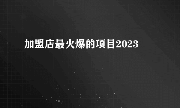 加盟店最火爆的项目2023