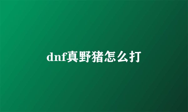 dnf真野猪怎么打