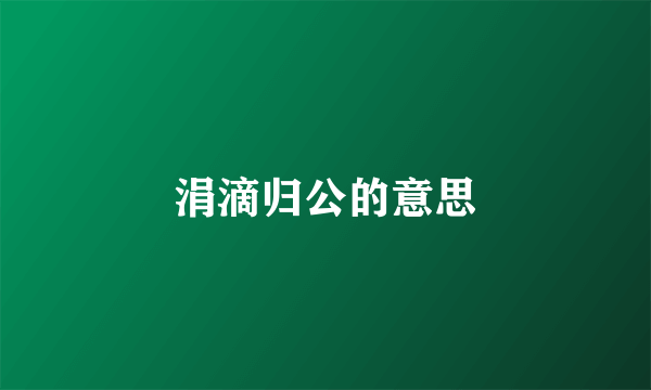 涓滴归公的意思