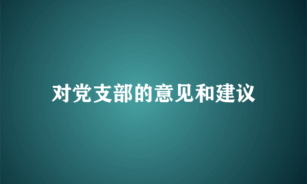 对党支部的意见和建议