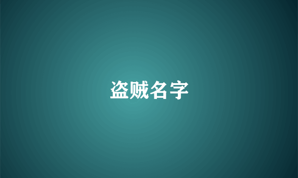 盗贼名字