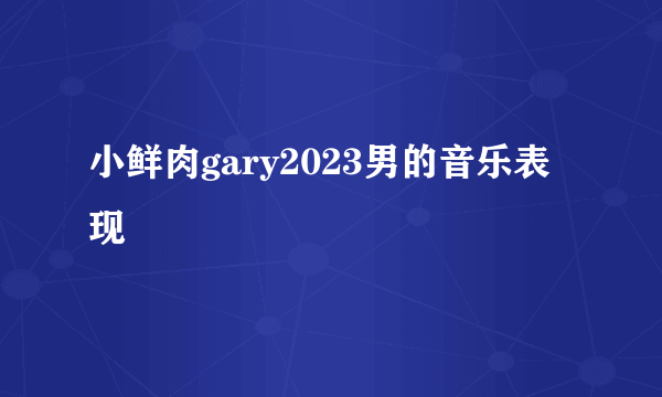 小鲜肉gary2023男的音乐表现