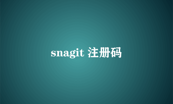 snagit 注册码