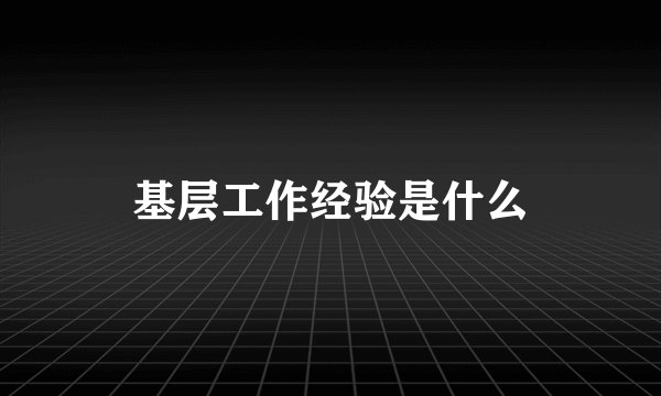 基层工作经验是什么