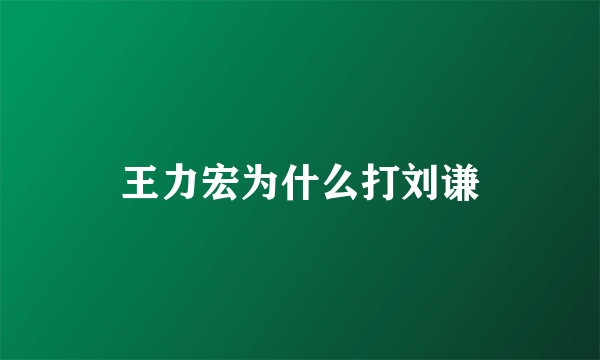 王力宏为什么打刘谦